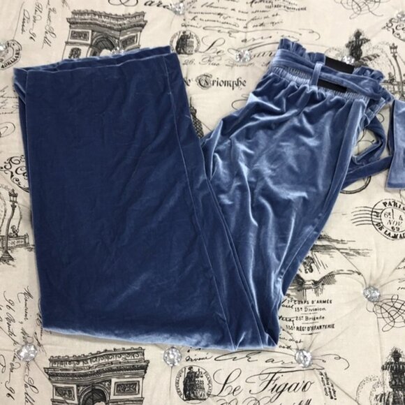 Inc Velvet Wide-Leg Paperbag Pants - Picture 7 of 7